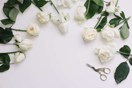 Elegant floral composition with white roses and place for text on white backgroundの写真素材