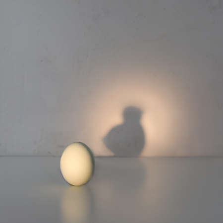 Egg casting shadow of chicken. Creative conceptual photoの写真素材