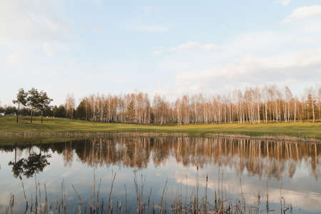 spring landscape, forest lake in spring surrounded by trees, calm water surface with reflection, bright sunlight and blue sky.の写真素材