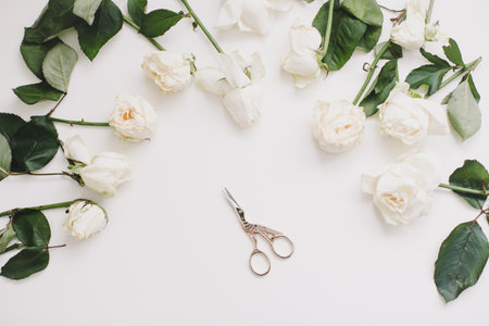 Elegant floral composition with white roses and scissors on white background. Flatlay, top viewの写真素材