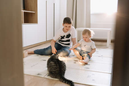 Kids playing with a cat at home. Brother and little sister having fun togetherの写真素材