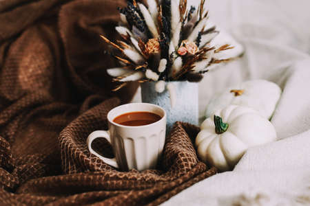Autumn still life with a coffee cup with flowers and pumpkins on a cozy plaid in bed. Stylish autumn...