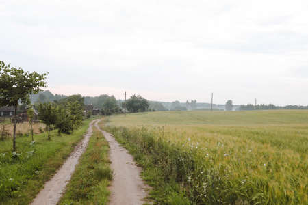 scenic road in the countryside at sunsetの写真素材