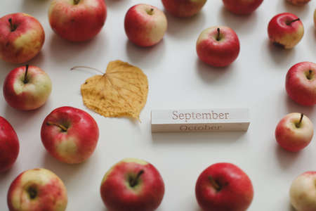 hello september. autumn card with fresh red apples on white background top viewの写真素材