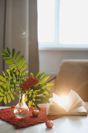 autumn still life with a rowan branch in a vase and a book and apples in a cozy home interior
