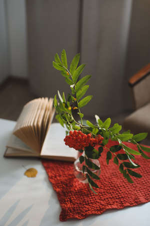 autumn still life with a rowan branch in a vase and a book and apples in a cozy home interiorの写真素材