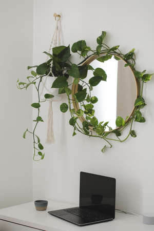 stylish workplace at home with a laptop on the table and a round mirror with a plant above it