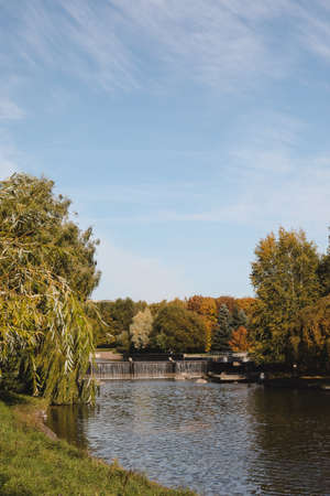autumn colorful foliage with reflection in the water