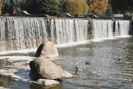 autumn colorful foliage with picturesque fountain in the autumn parkの写真素材