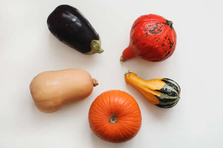 different types of pumpkins and eggplant on white backgroundの写真素材