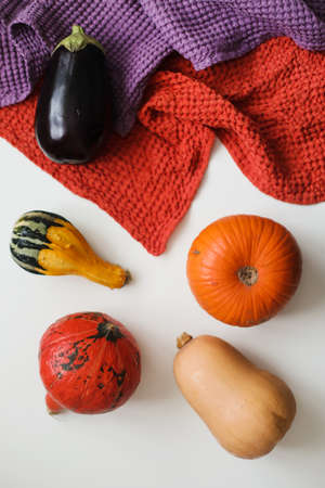different types of pumpkins and eggplant on white backgroundの写真素材
