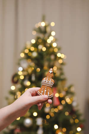 Hand holding gingerbread on the background of the Christmas tree. Holiday, Christmas and New Year celebration conceptの写真素材
