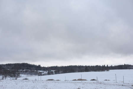 Beautiful scenic snowy winter background. magical frosty outdoor winter patternの写真素材