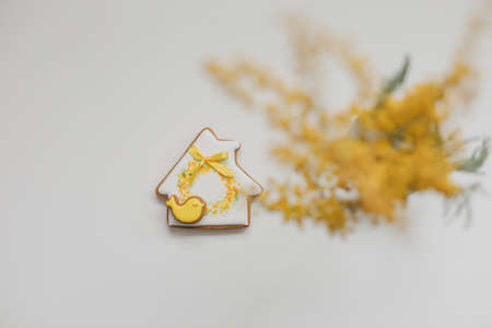 Easter gingerbread cookies and mimosa flowers on white background. top view copy space. Hello Spring...