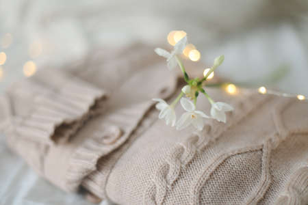 Knitted beige sweater and delicate spring flower. Winter and spring fashion concept.