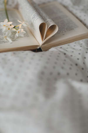 Book with pages folded into a heart shape. valentines festive background with bokeh.の写真素材