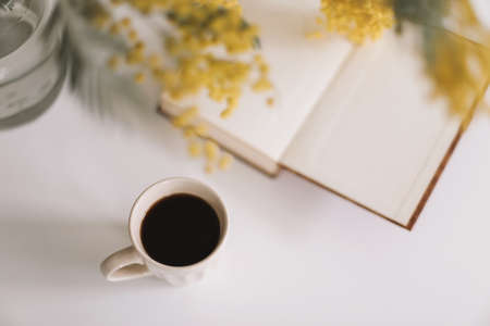 Spring composition with yellow mimosa flowers on white backgroundの写真素材