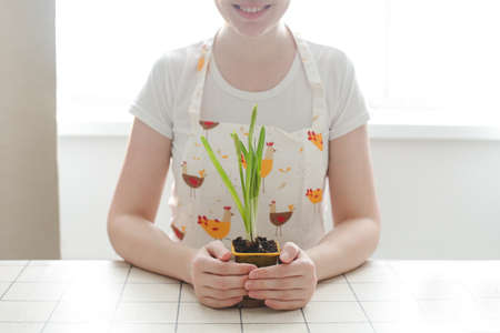 lovely housewife woman in apron with flower in pot. Gardening, holidays and spring concept.