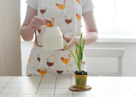 lovely housewife woman in apron with flower in pot. Gardening, holidays, Spring concept.の写真素材