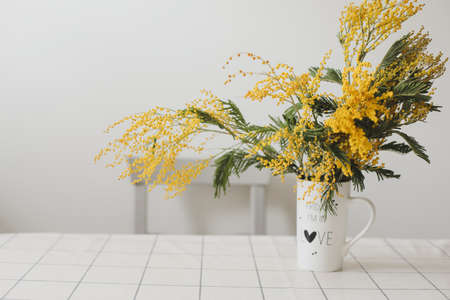 Bouquet of yellow mimosa flowers in a vase on a white backgroundの写真素材