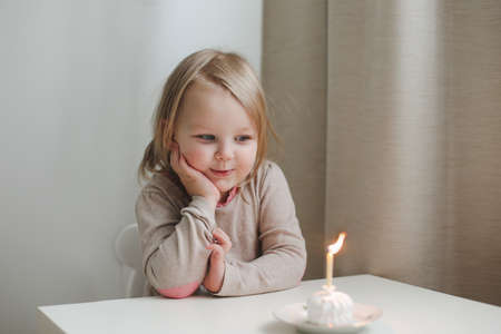 cute little girl blows out candle on a birthday cake at home. Childs birthdayの写真素材