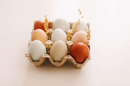 Chicken eggs of natural shades and colors on a white background. Healthy organic food, natural farmer's products concept. Happy Easter background. Selective focus.の写真素材