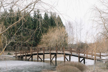 View of wooden bridge over the river on a spring day. Forest on picturesque river banks. Beautiful...
