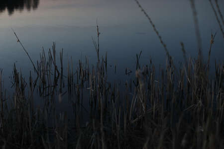Blue river or lake water surface, nature backgroundの写真素材