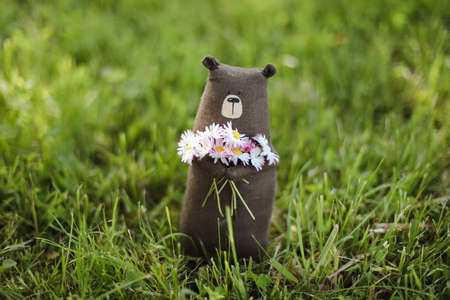Eco-friendly cute handmade toy bear on grass at sunny summer day.の写真素材