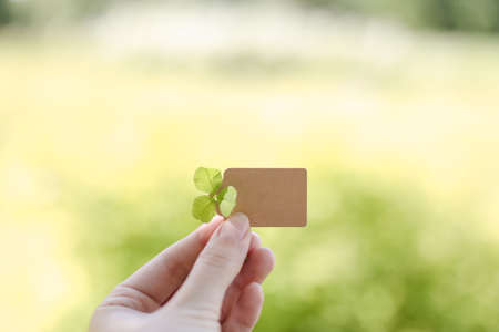 Hand holding blank paper card isolated on nature background. Summer, Ecology concept. Copy space, mock upの写真素材