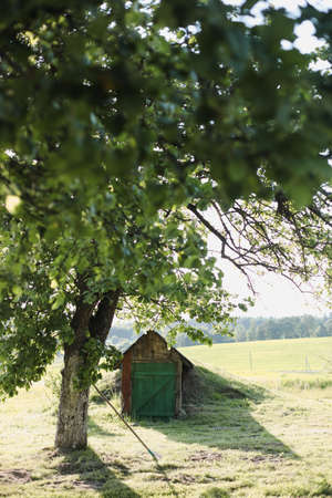 Small wooden house in rural field, view on a farmhouse in countryside, summer scenic landscape.の写真素材