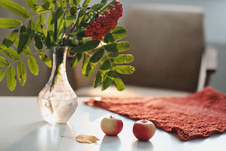 autumn still life with rowan and apples on a table in a cozy home interior.の写真素材