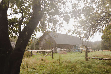 scenic image of picturesque rural nature in countryside in early autumnの写真素材
