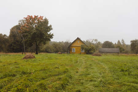 scenic image of picturesque rural nature in countryside in early autumnの写真素材