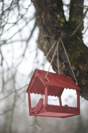 Close-up of a bird feeder on a tree under the snow in the forest.