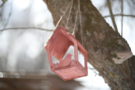 Close-up of a bird feeder on a tree under the snow in the forest.の写真素材