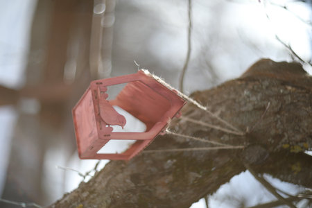 Close-up of a bird feeder on a tree under the snow in the forest.の写真素材