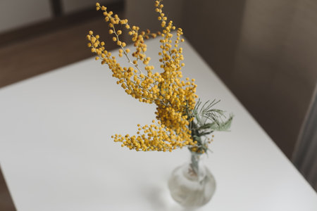 spring mimosa flower bouquet in glass vase in a cozy living room. Spring, 8th of march, easter greeting cardの写真素材