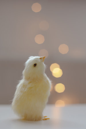Close-up of a small yellow chicken. Easter card with a copy space. Spring Easter decor. Template for...