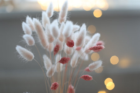 Beautiful flowers composition. Dried flowers on pastel background agains blurred bokeh lights....