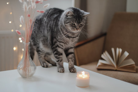 Still life details, candle, flowers in a vase and a funny cat on a table in living room. Cozy home atmosphere. Lazy winter weekendの写真素材