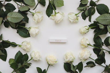 International Womens Day. Banner, flyer, beautiful postcard for March 8. Flowers composition. Frame made of white fresh rose flowers on white background. Flat lay, top view, copy spaceの写真素材