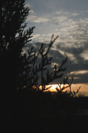 Amazing panoramic sunrise or sunset sky with colorful clouds. Gradient color. Sky texture, abstract nature backgroundの写真素材