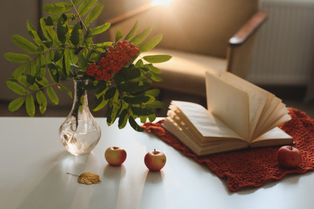 autumn still life with a rowan branch in a vase, book and apples in a cozy home interiorの写真素材