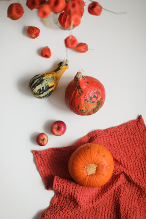A collection of pumpkins and squash of different types and colors. Autumn harvest.の写真素材