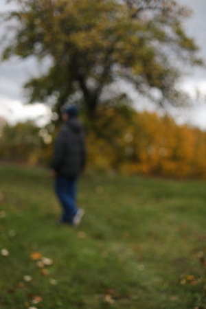 Autumn banner natural blurred background. farmland, meadows and trees in autumn with golden brown leaves on the trees. scenic image of picturesque rural nature in countryside in autumn.の写真素材
