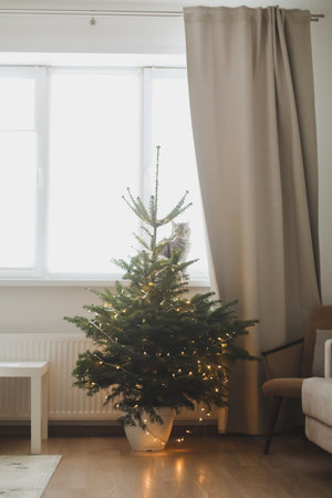 Stylish Christmas interior decorated in rustic style. Handmade festive decorations. Home family comfort. High quality photoの写真素材