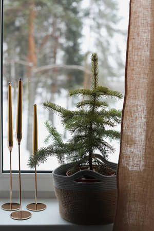 Elegant composition of christmas living room interior with candlesticks with candles, christmas tree. Home decor. Christmas composition with golden long candles and Christmas treeの写真素材