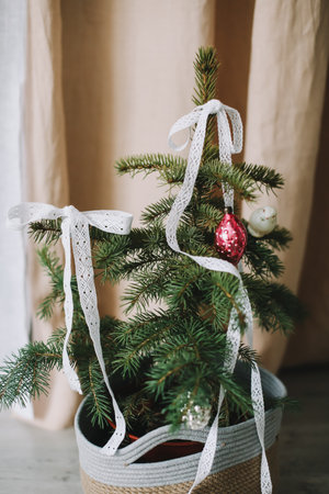 New Year lace decorations for the Christmas tree in eco style. Zero Waste Christmas concept. Vintage Christmas tree decorations. Holiday Template with Christmas decorations on fir treeの写真素材