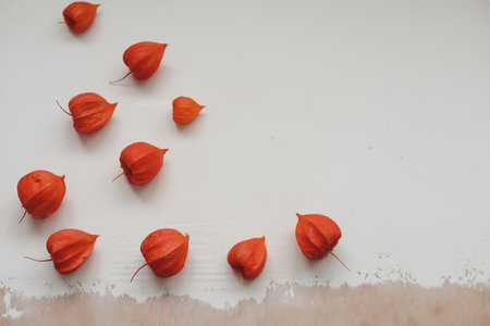 autumn frame with red physalis flowers. Frame made of red flower buds on white background. Flatlay, top view. View from above. Copy space mockup.の写真素材